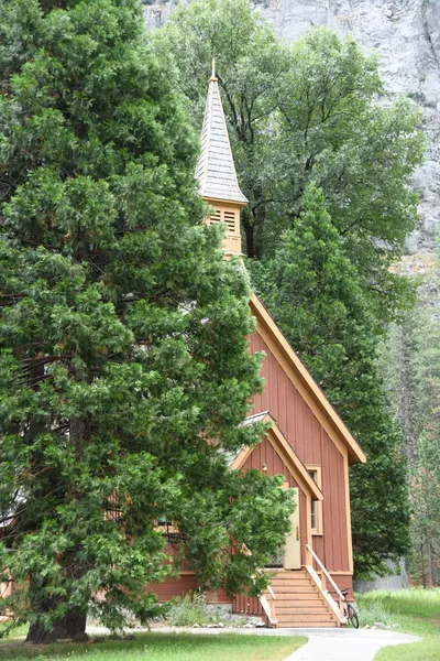 DSC_4673 (Large).JPG